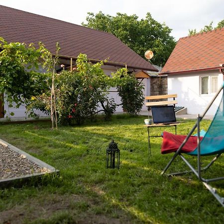 Nomad Sud Studios In Town Center Кахул Экстерьер фото
